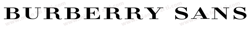 Burberry Sans字体转换